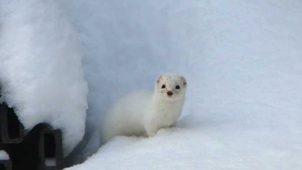 Фото: Ольга Полякова