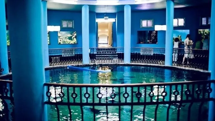 Фото: соцсети