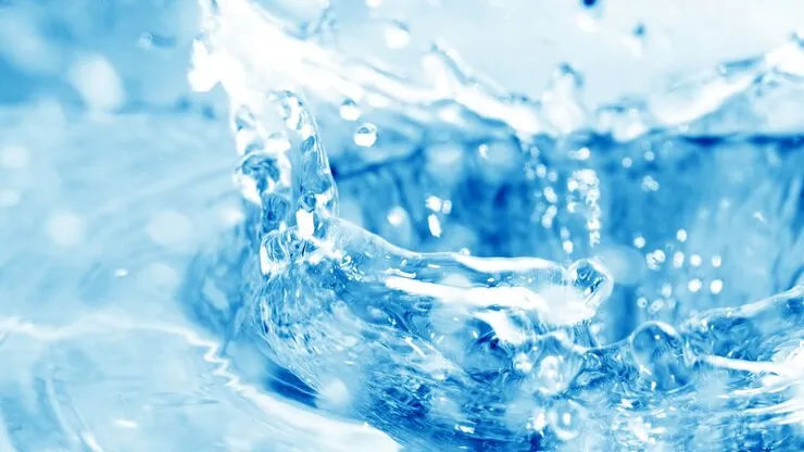 Фото: freepik.com