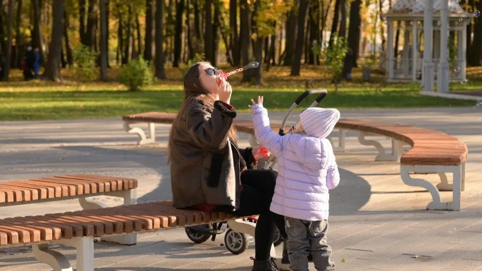 Фото: Министерство благоустройства Московской области