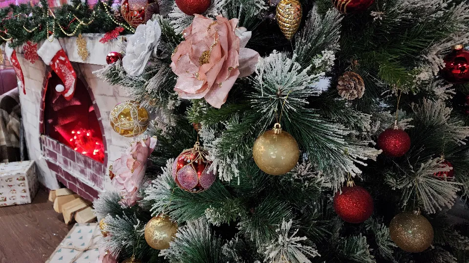 Фото: МедиаБанк Подмосковья/Дмитрий Алексеенко