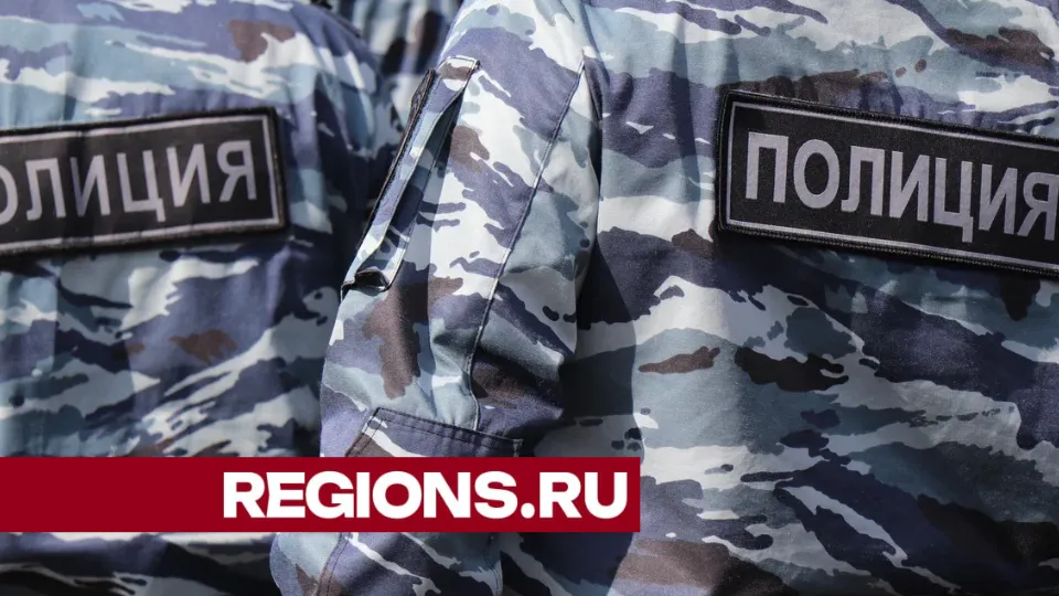 Фото: Василий Тремасов