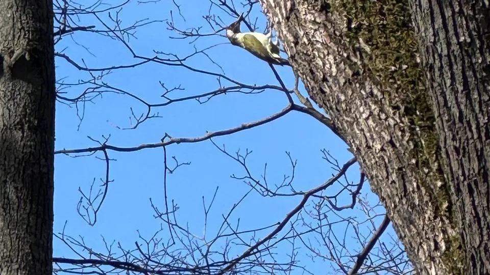 МедиаБанк Подмосковья/Юлия Маркова