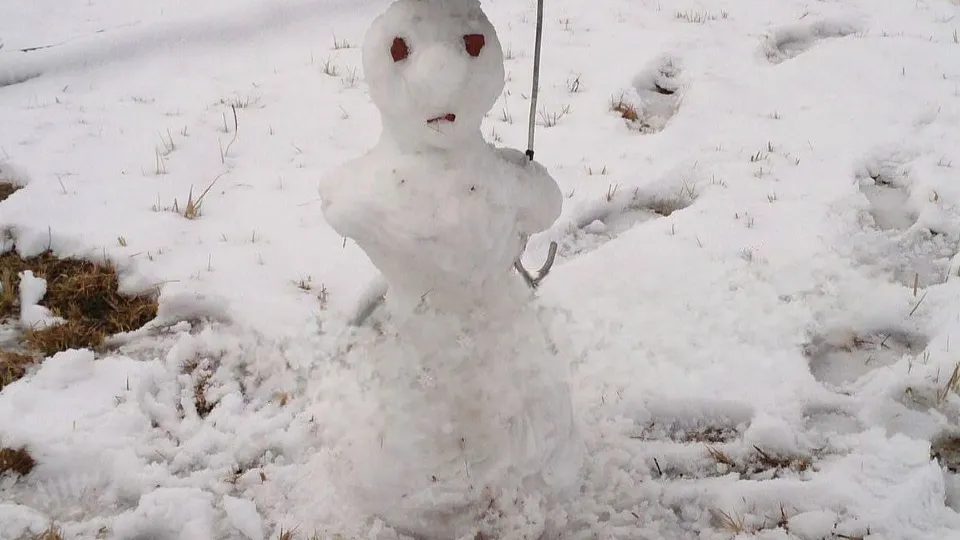 Фото: личный архив Надежды Россейчук
