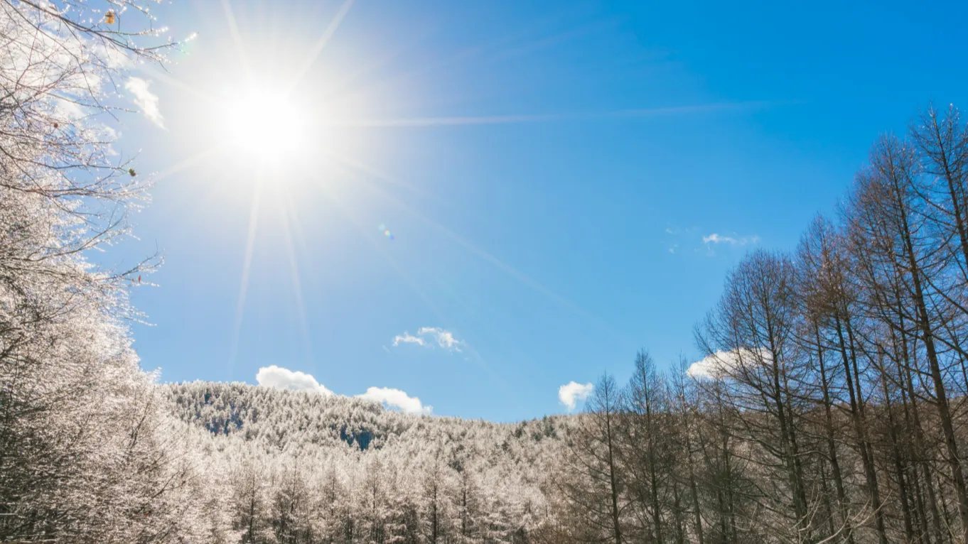 Фото: freepik.com