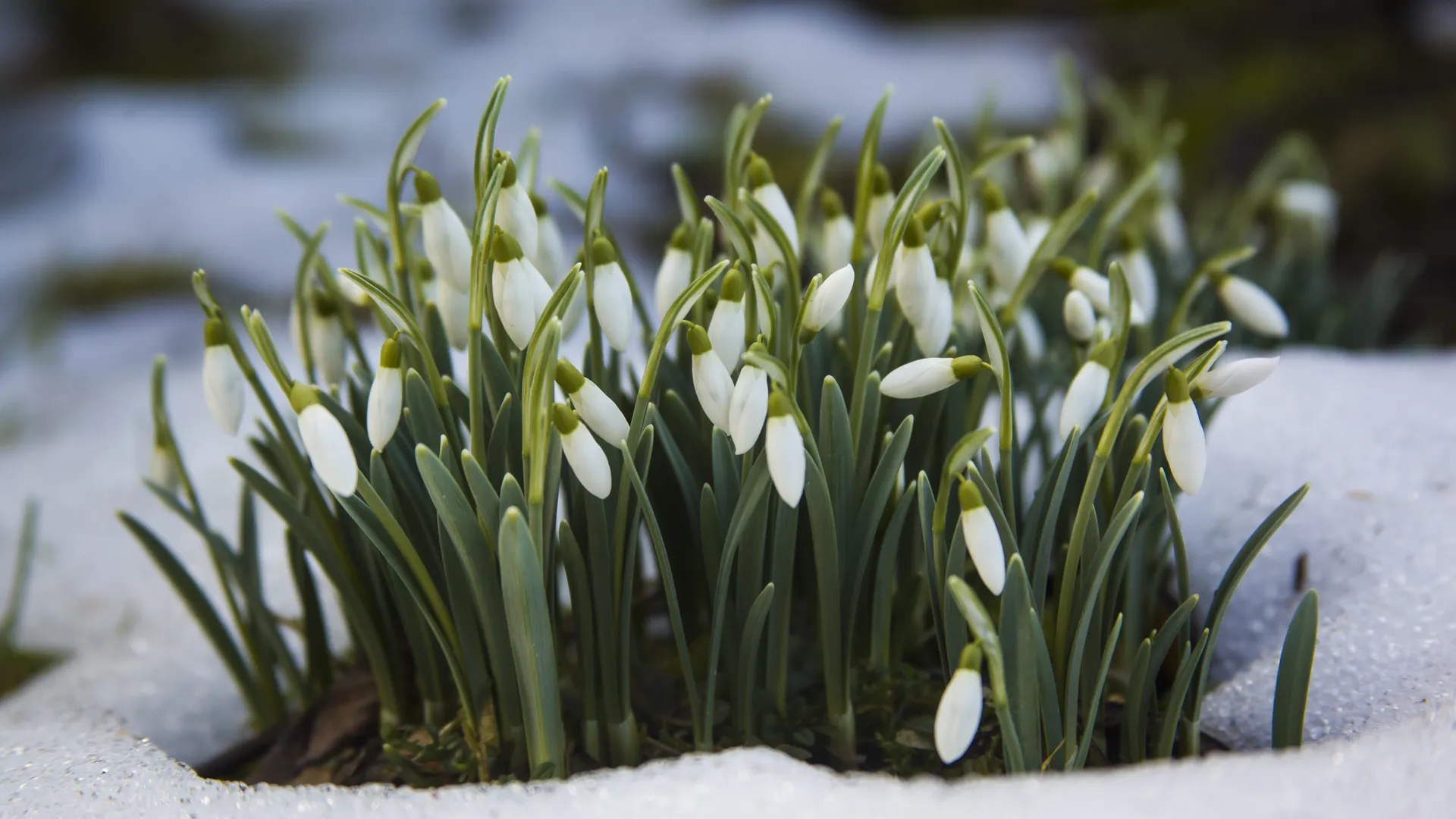 Фото: freepik.com