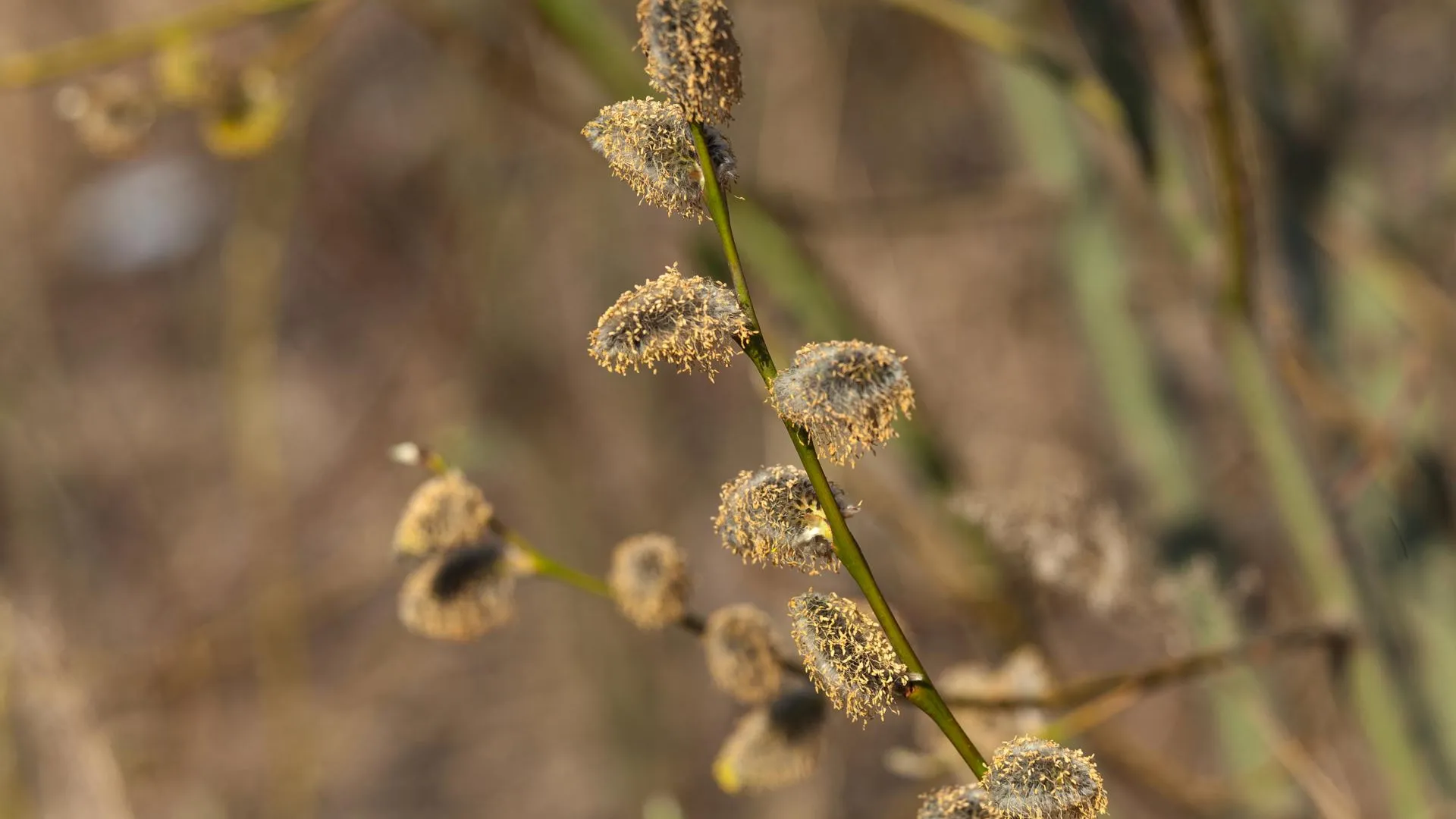 медиасток.рф