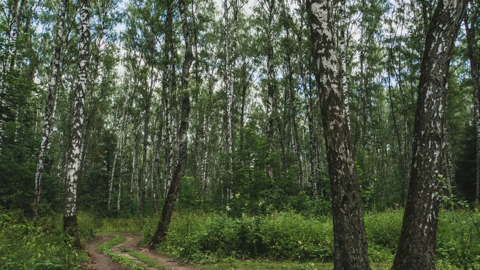 Фото: Наталия Надточая