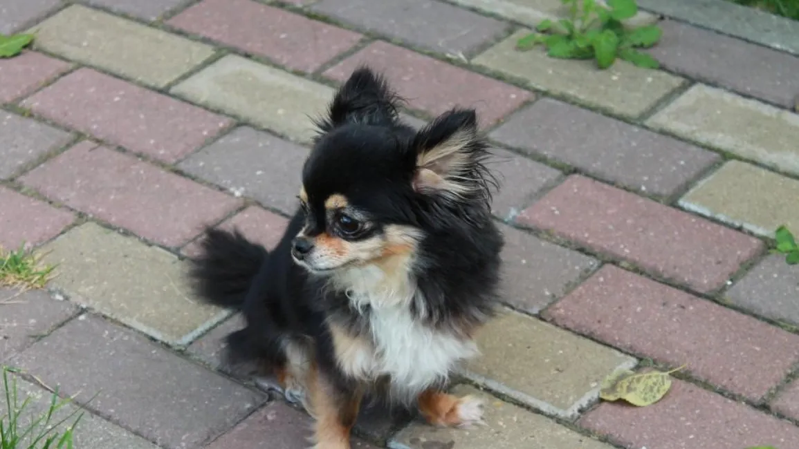 REGIONS/Илья Попов