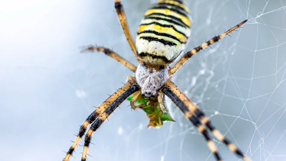 Фото: freepik.com