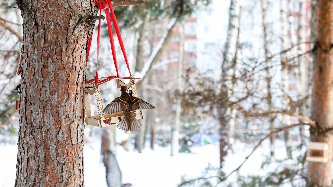 пресс-служба администрации г.о. Мытищи