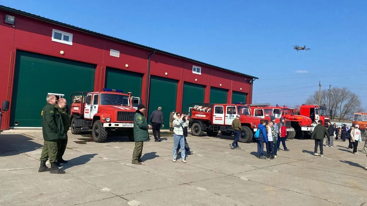 Фото: Комитет лесного хозяйства Московской области