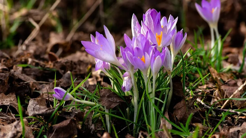 Фото: freepik.com