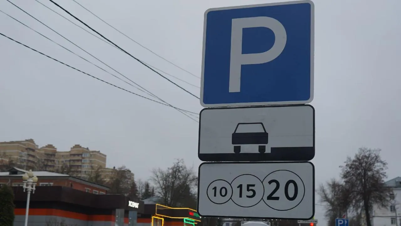 МедиаБанк Подмосковья/Екатерина Елисеева