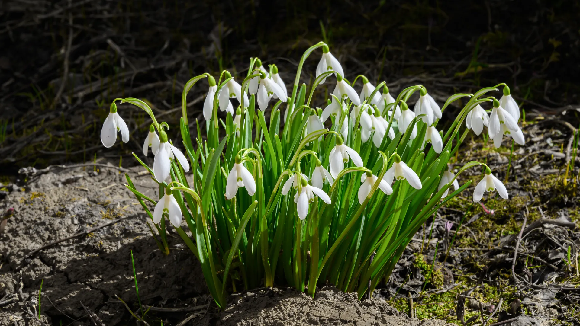 медиасток.рф