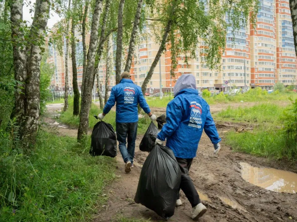 Фото: Комитет лесного хозяйства Московской области