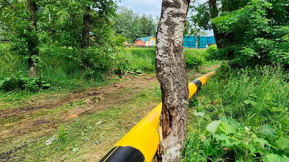 Фото: Валентина Максимова