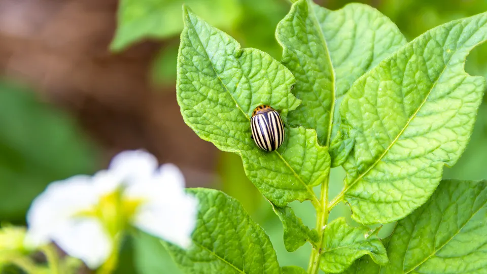 Фото: istockphoto.com