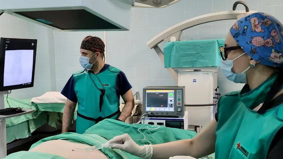 Фото: Министерство здравоохранения Московской области