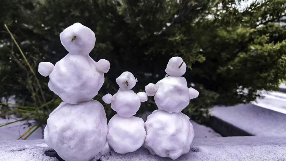 Фото: REGIONS/Роман Малышенко