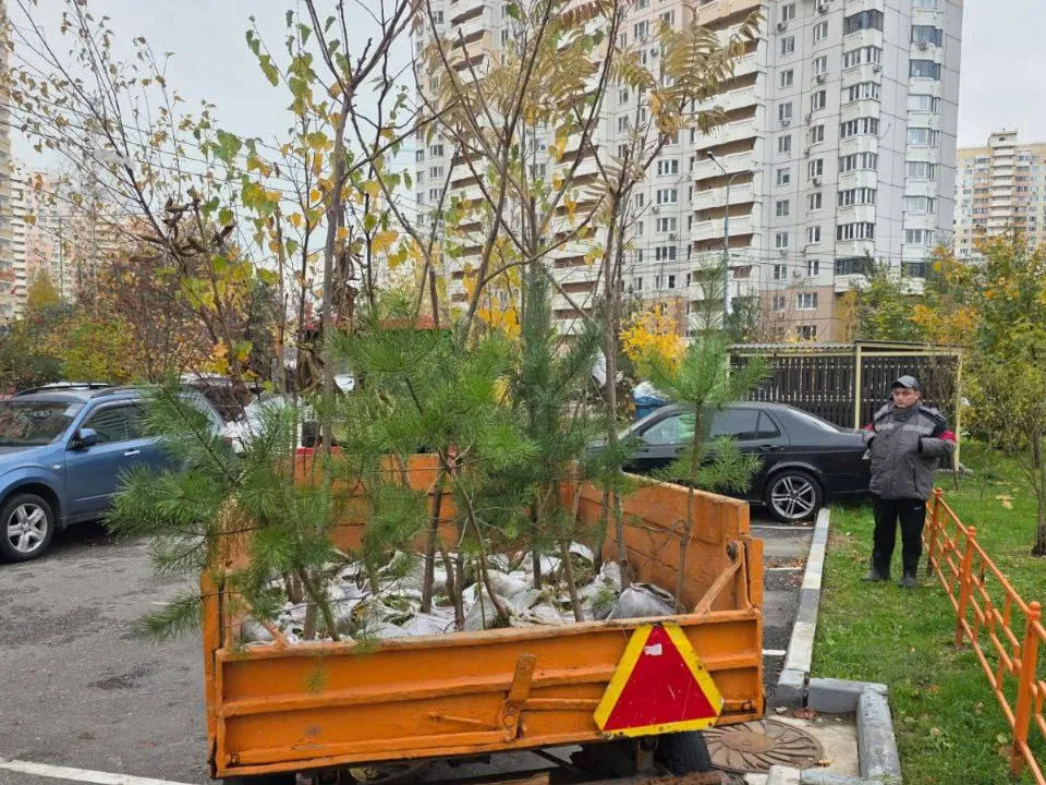 Фото: пресс-служба администрации г.о. Красногорск