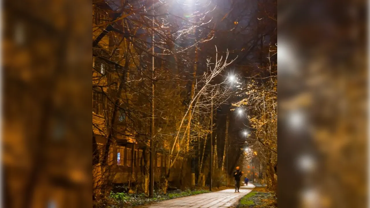 Фото: Министерство благоустройства Московской области