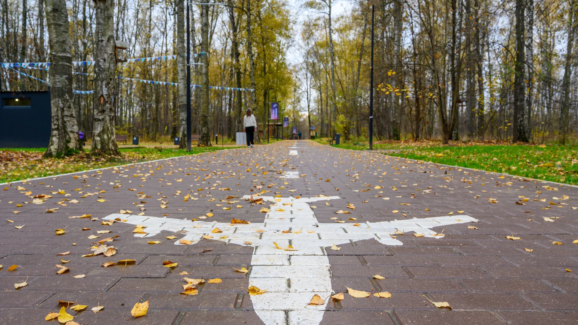 «В меня вселился призрак»: пассажир дважды пытался открыть дверь самолета и напугал всех до смерти