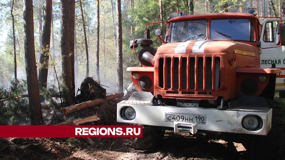 Фото: REGIONS/Василий Тремасов