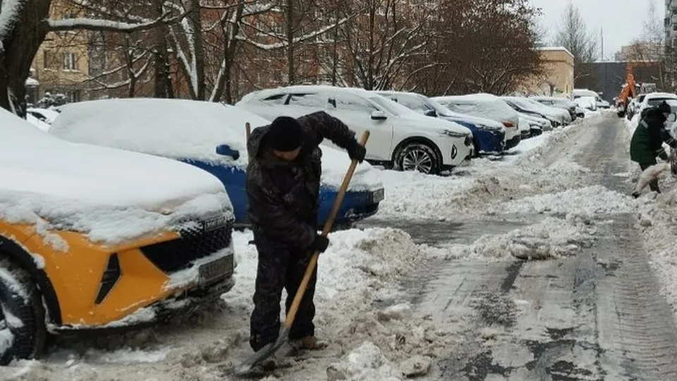 Фото: пресс-служба администрации г.о. Химки