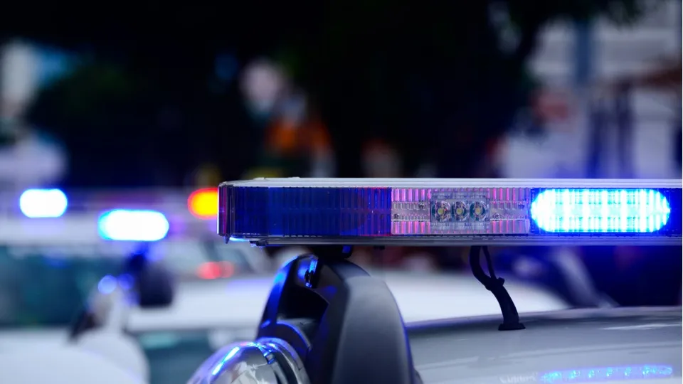 Фото: pxhere.com