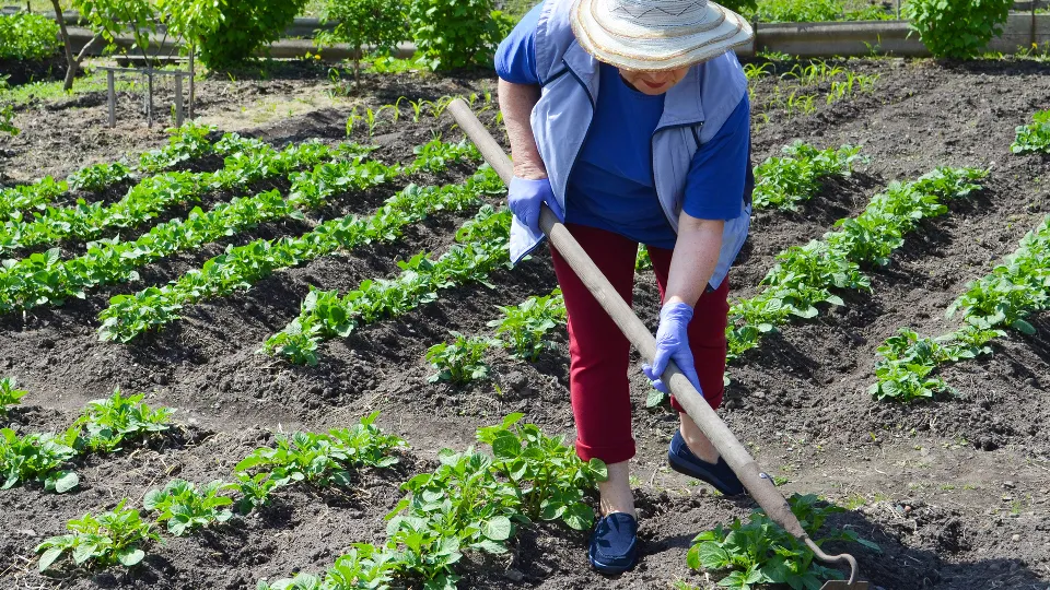 Фото: istockphoto.com