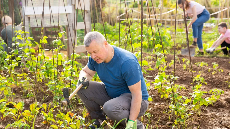 Фото: istockphoto.com