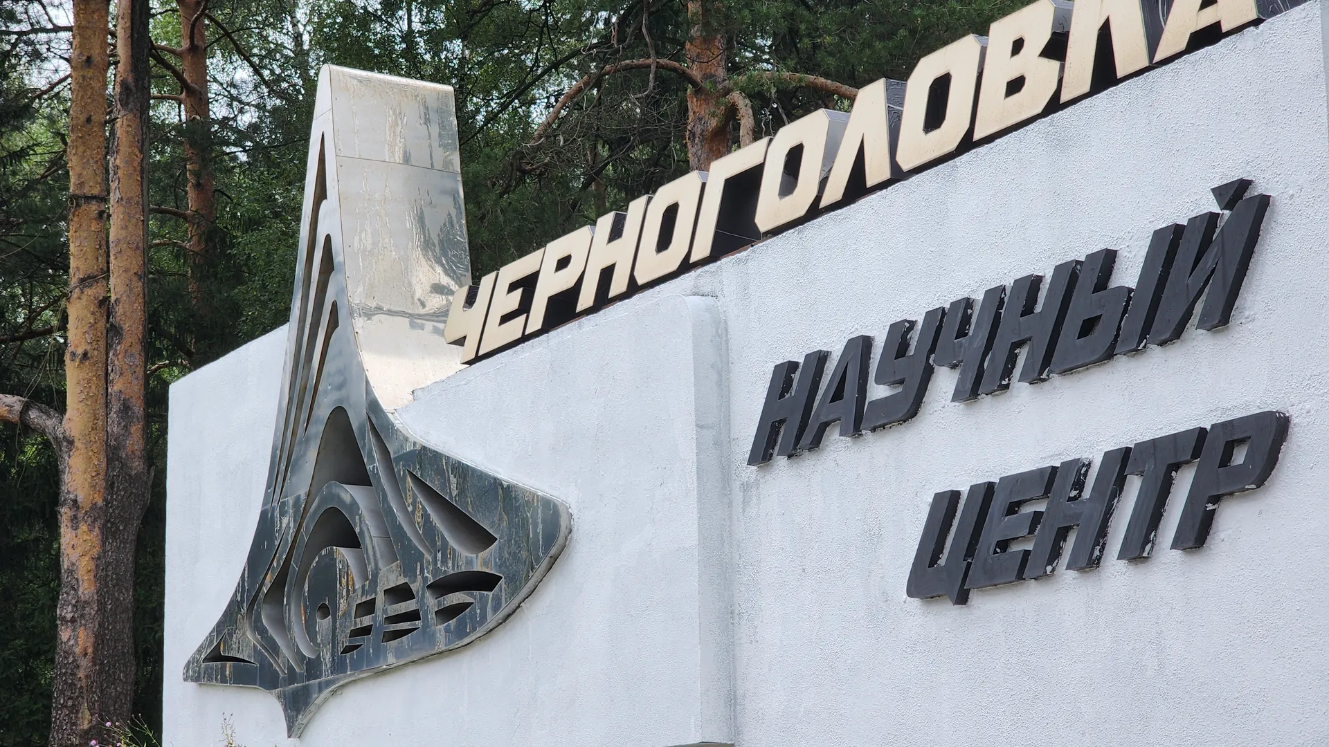 Фото: МедиаБанк Подмосковья/Иван Петрушин