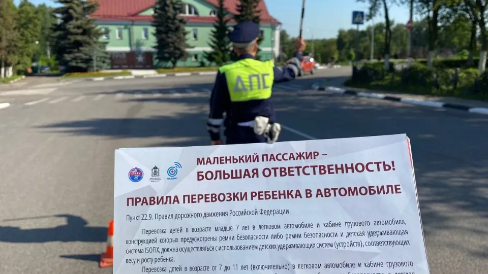 Фото: Госавтоинспекция МО