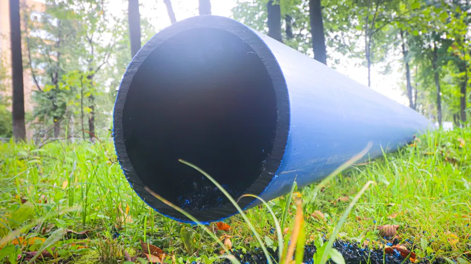 Фото: МедиаБанк Подмосковья/Данила Кирьянов