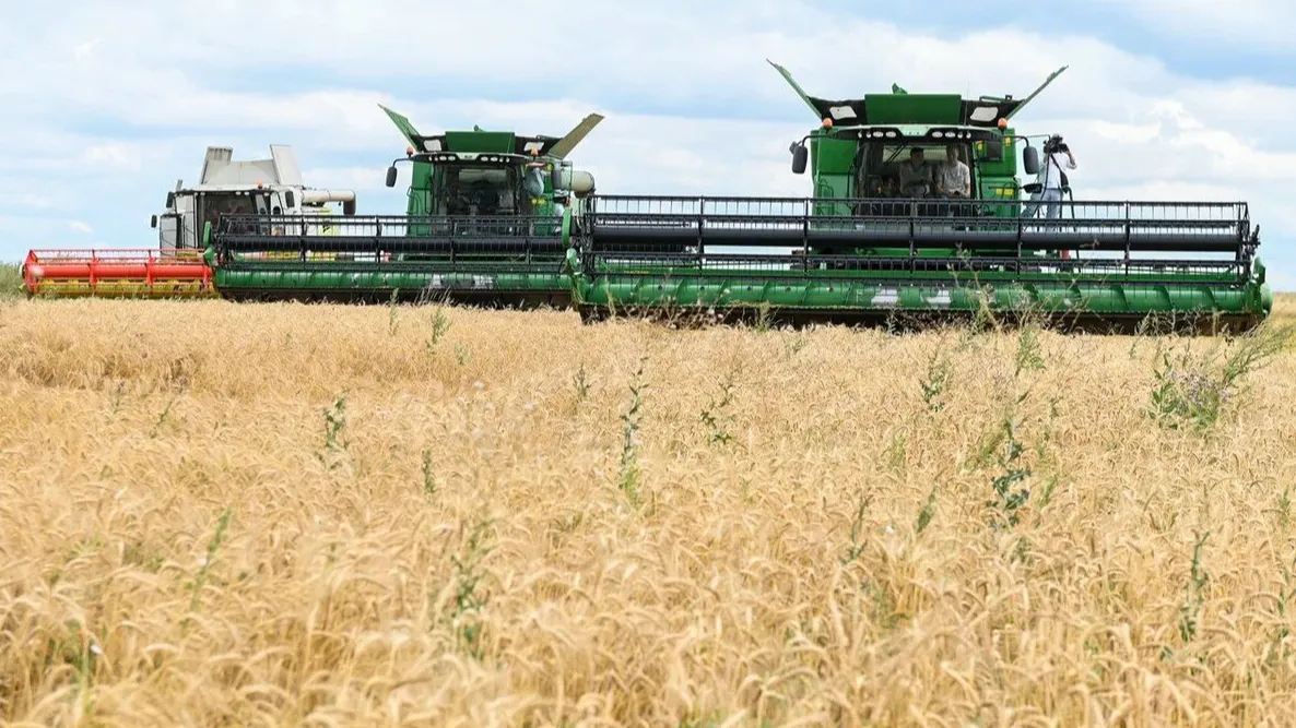 медиасток.рф