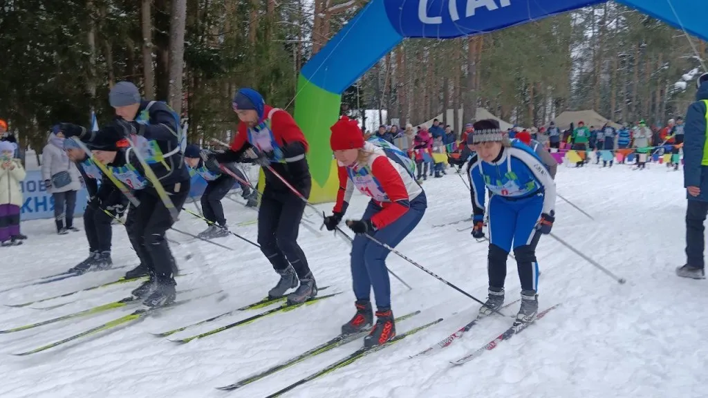 Фото: пресс-служба администрации г. о. Черноголовка