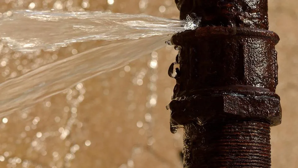 Фото: istockphoto.com/Ian_Redding