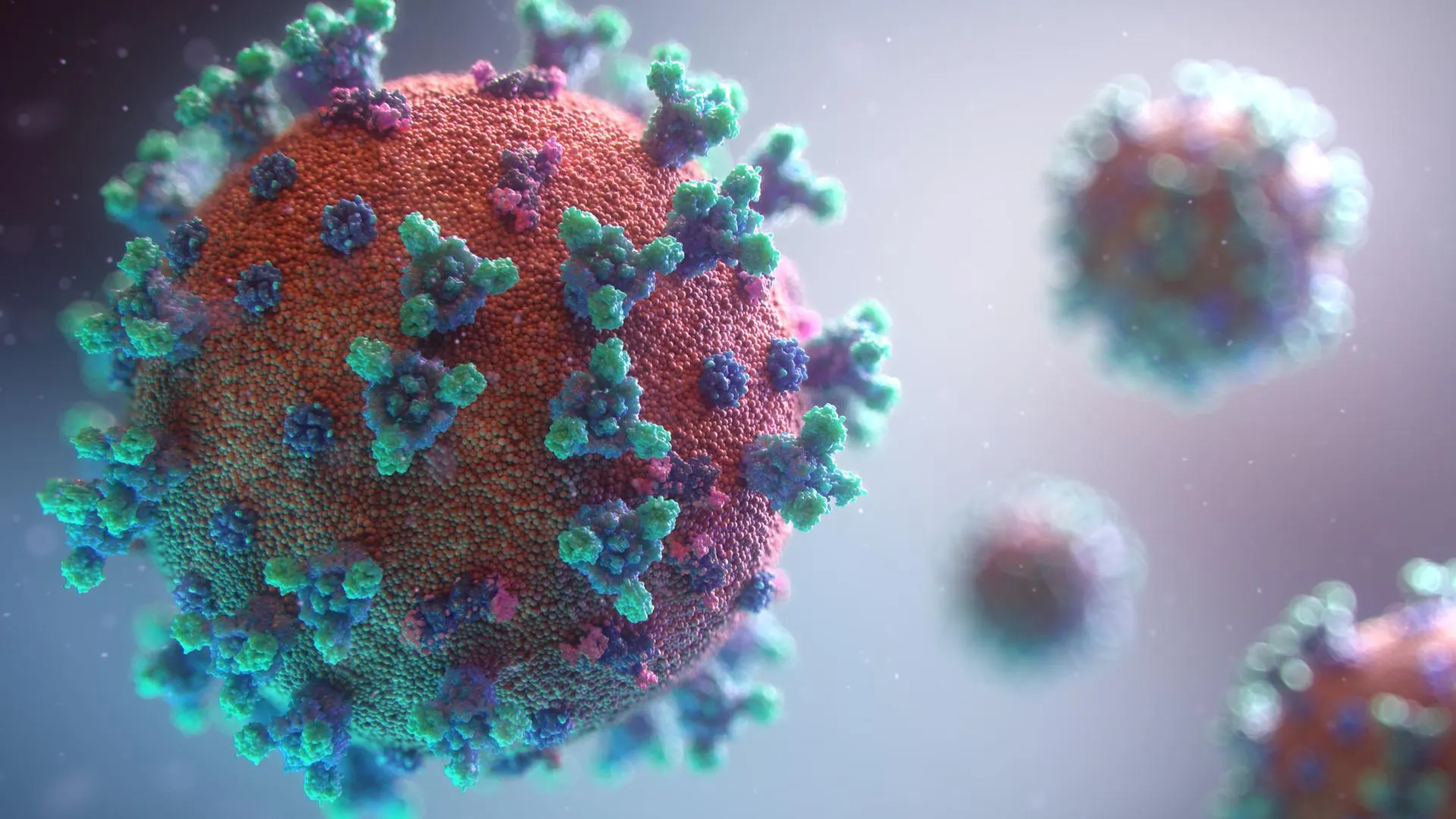 Fusion Medical Animation