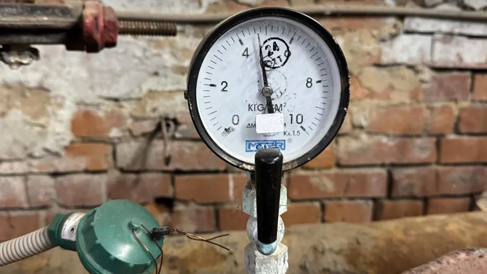 Фото: REGIONS/Татьяна Сташенко