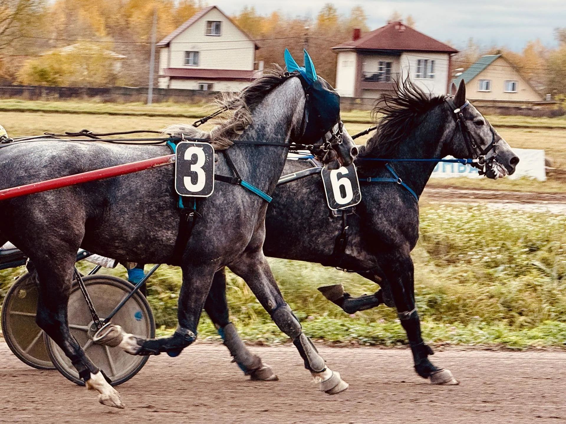 Фото: Медиабанк Подмосковья/Ольга Стаферова