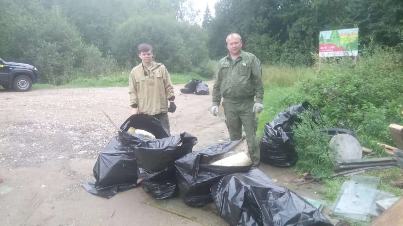 Комитет лесного хозяйства Московской области