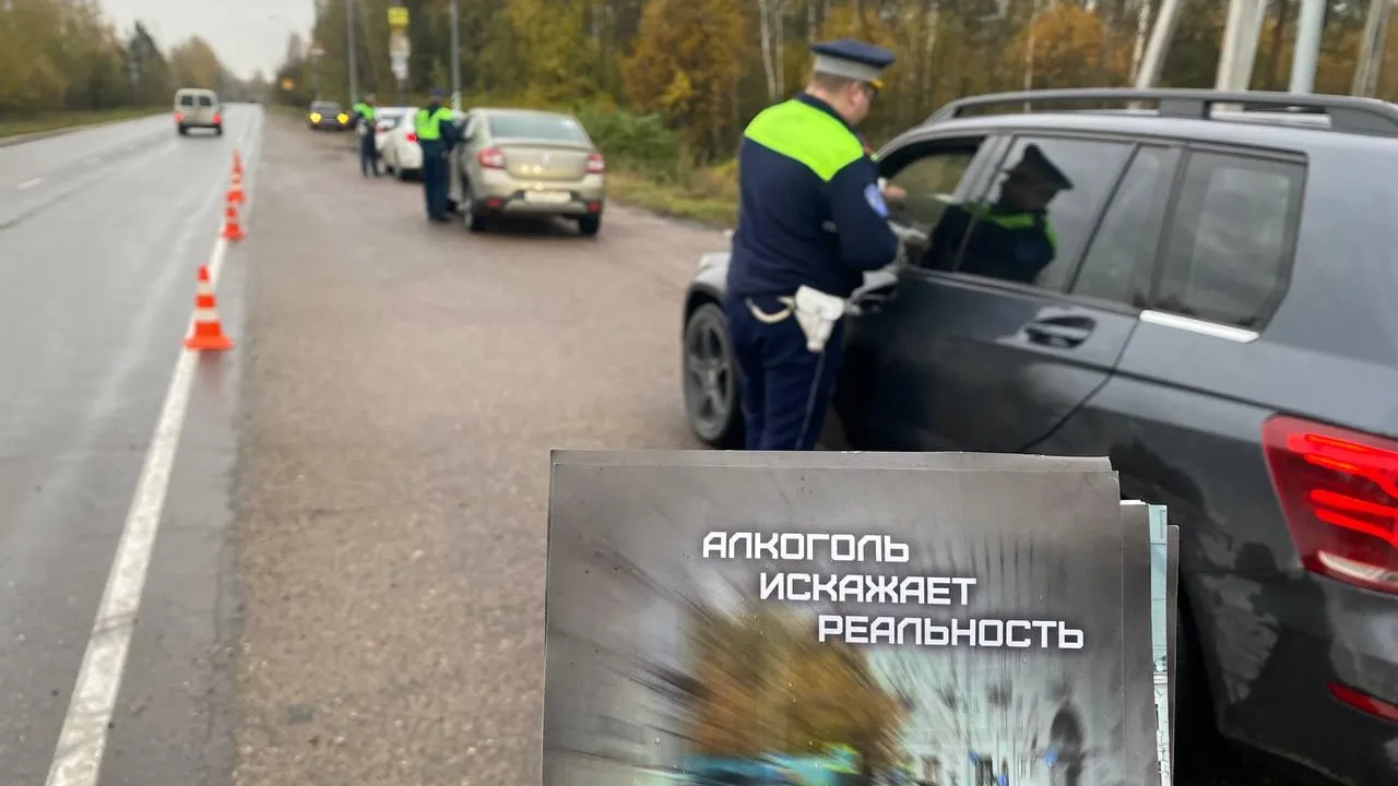 Источник: пресс-служба ГИБДД по городскому округу Павловский Посад