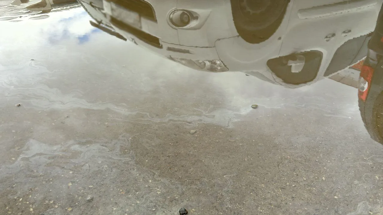 Фото: REGIONS/Василий Тремасов