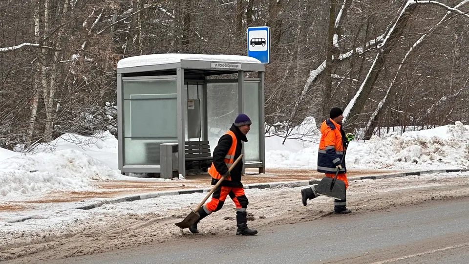 Фото: МедиаБанк Подмосковья/Мария Шматкова
