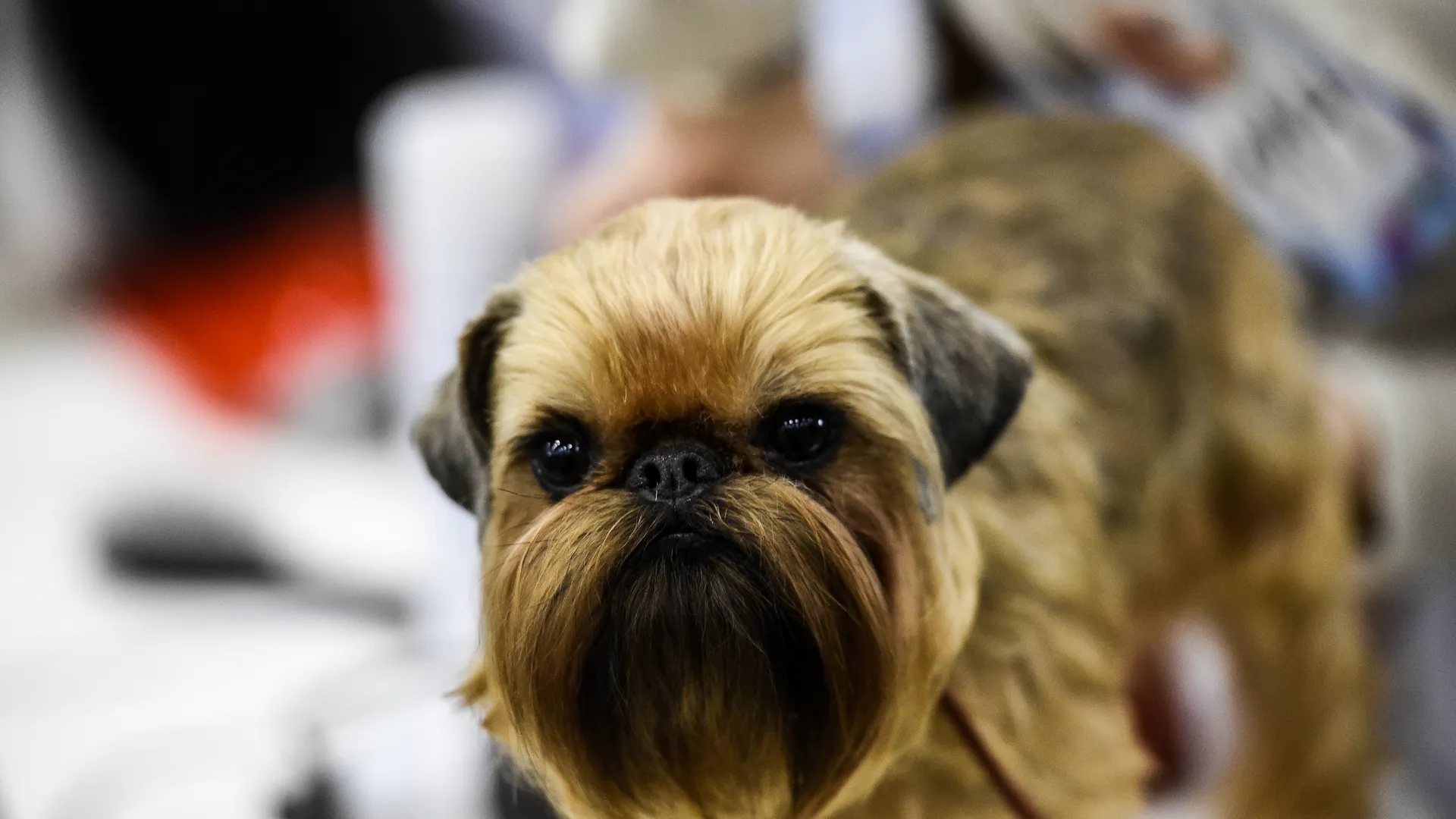 медиасток.рф