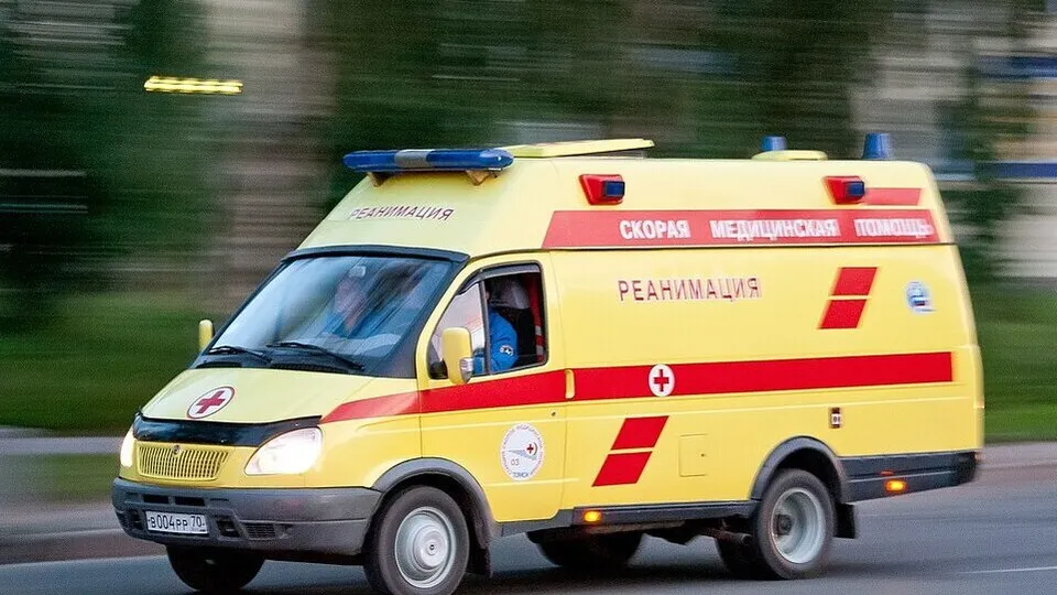 Фото: freepik.com