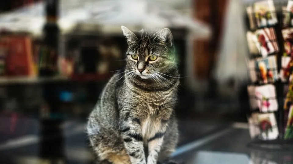 Фото: freepik.com