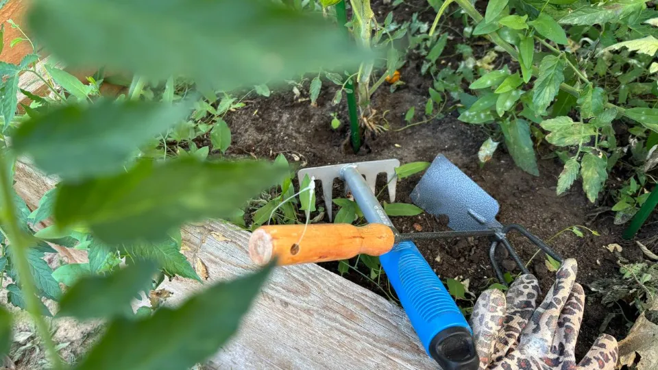 Фото: REGIONS/Анастасия Завертайло