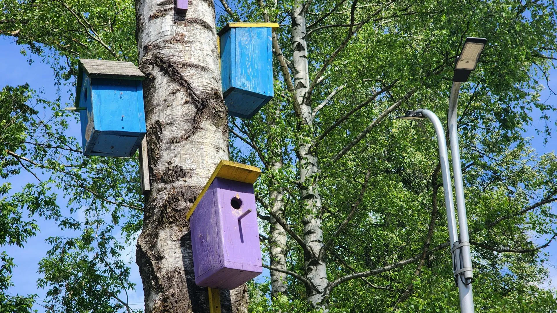 Фото: Полина Пахомова